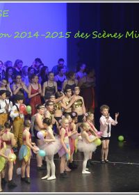Temps danse 31/05/2015