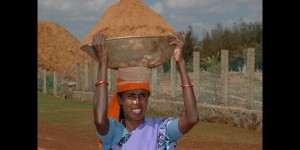 Inde du Sud 2005