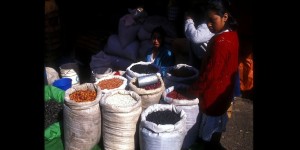 Mexique 1996